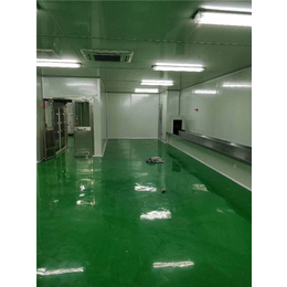 車間凈化工程-合創藍天-鳳崗車間凈化工程